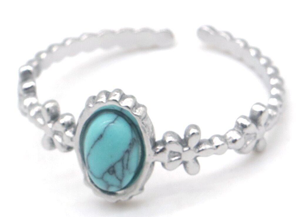 B-C12.1 R2457-062S-2 S.Anello in acciaio regolabile