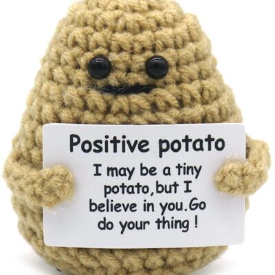 Q-I8.2 T2405-001 Positive Potato 7cm