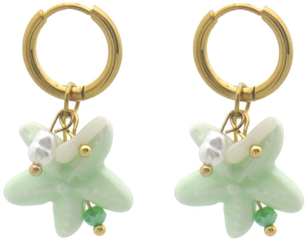 C-D18.4 E936-009G S. Orecchini in acciaio Stella marina 3x1.5cm