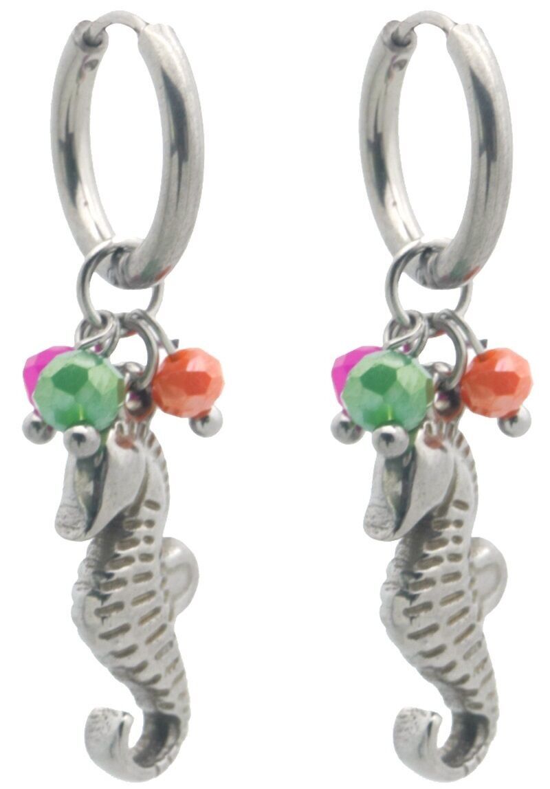 C-D17.1 E936-007S S. Orecchini in acciaio Cavalluccio marino 3.5cm