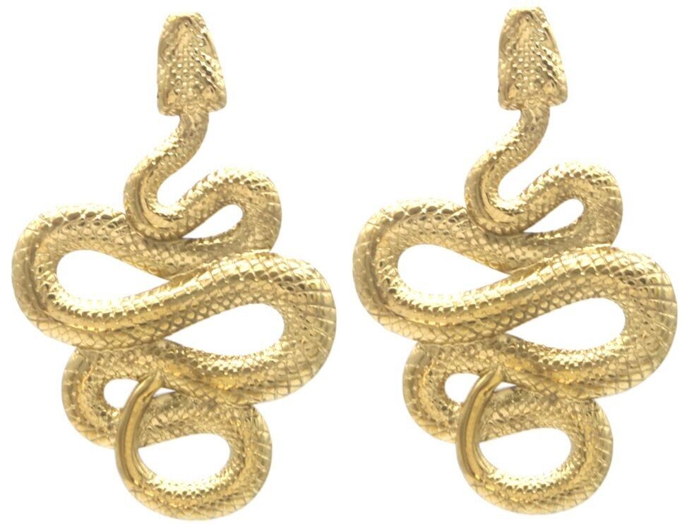 B-C20.1 E2567-024G S. Stahlohrringe Schlange 4.5x3 cm