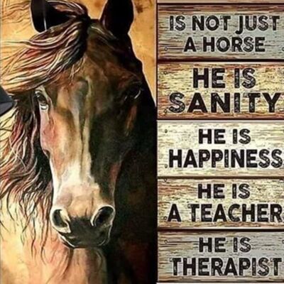 R-L4.1 DP2545055 Diamond Painting -Canvas 50x40cm - Painting 45x35cm Horse