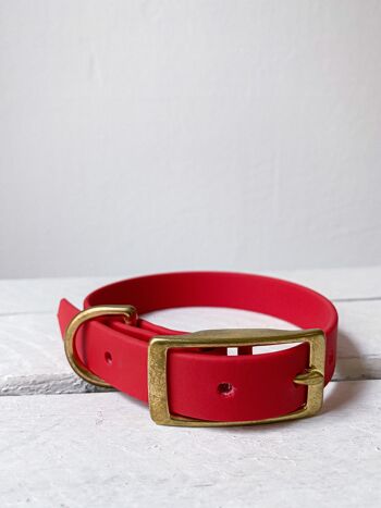 Collier biothane rouge - xxxs 1