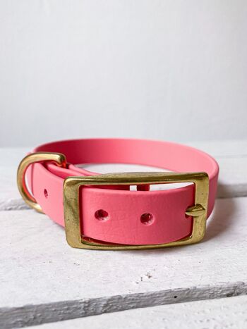 Collier Biothane corail - xs 1