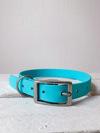 Collier Biothane turquoise - L 1