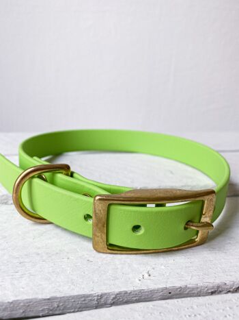 Collier Biothane vert pomme - xxs 2