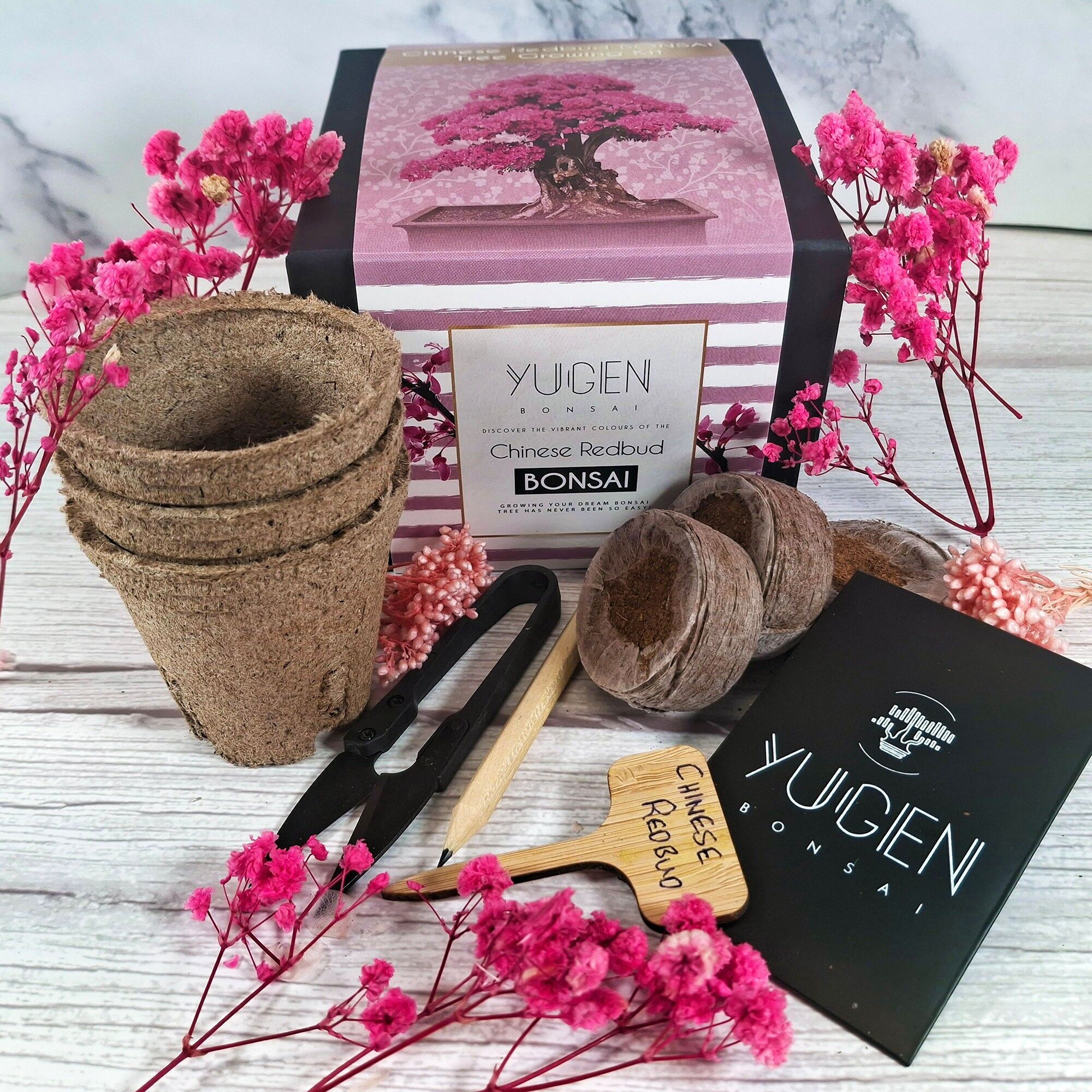 Kit di avviamento per bonsai di redbud cinese