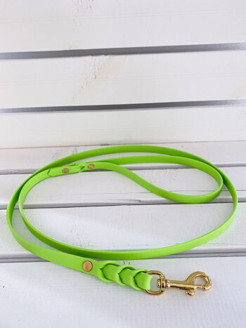 Biothane City Leash vert pomme - S 1