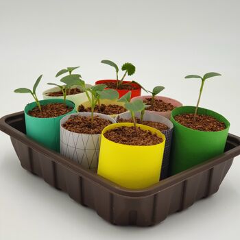 Fabricant de pots en papier | L'outil classique pour les jardiniers écologiques 4