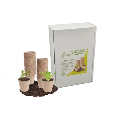 Macetas de semillas biodegradables de 50 x 8 cm en envases sin plástico