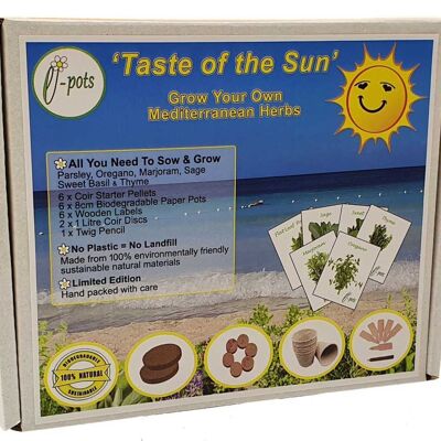Set de regalo ecológico Grow Your Own 'Taste of the Sun' | 6 x hierbas mediterráneas más todo lo necesario para sembrar su huerto interior