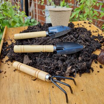 Petits outils de jardinage | Ensemble de trois 2