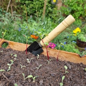Petits outils de jardinage | Ensemble de trois 4