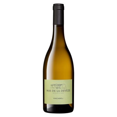 Vino MACABEU