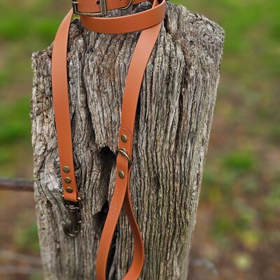 Collar y correa impermeables BioThane© para perros - Marrón claro