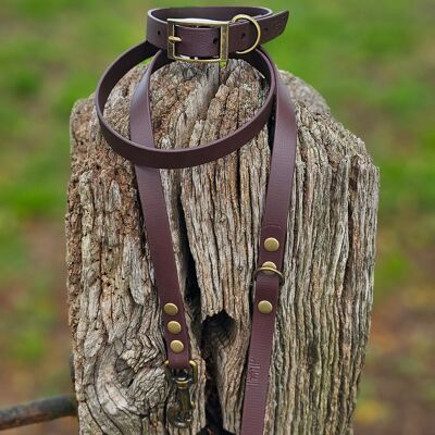 Collier et laisse imperméables en BioThane© pour chien - Marron foncé