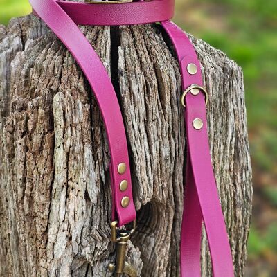Collar y correa impermeables BioThane© para perros - Borgoña