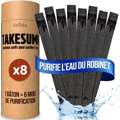 Organic Binchotan 8x | Takesumi Bamboo Activated Charcoal for Water Purification, Sustainable Alternative to Water Bottles