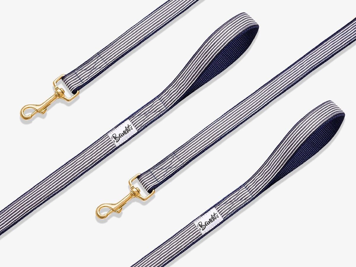 Blue and white striped dog leash
