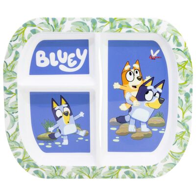 STOR RETTANGOLARE DIVISO PIATTO ST BLUEY