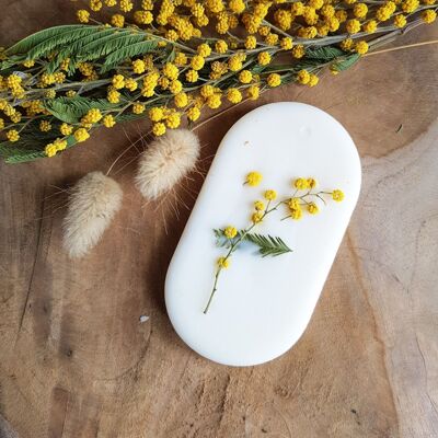 Mimosa scented wax tablet