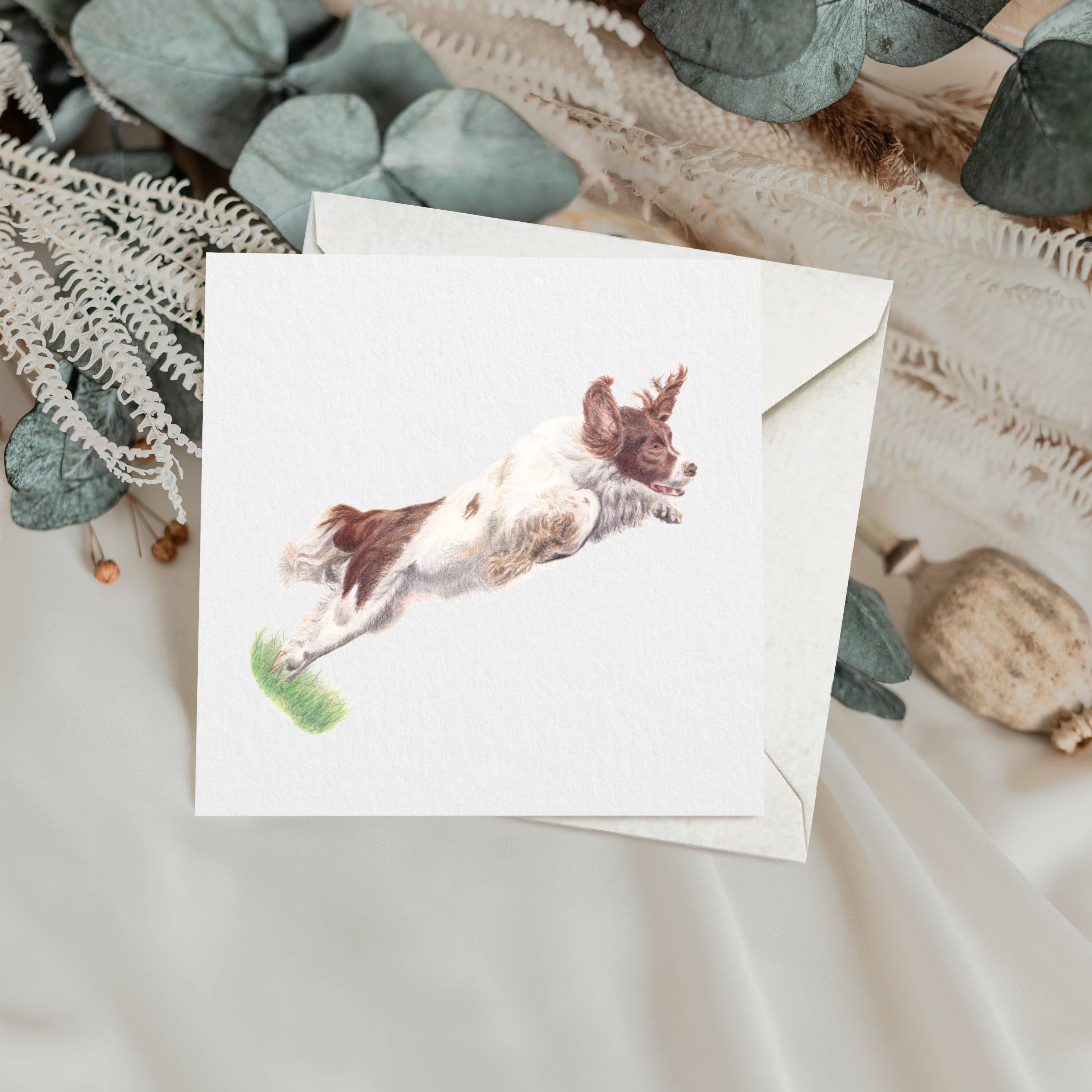 Tarjeta de felicitación de Springer Spaniel | Tarjeta de perro