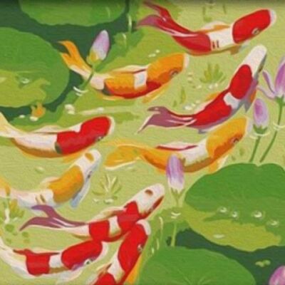 MS8184 Paint By Number Set Koi 50x40cm
