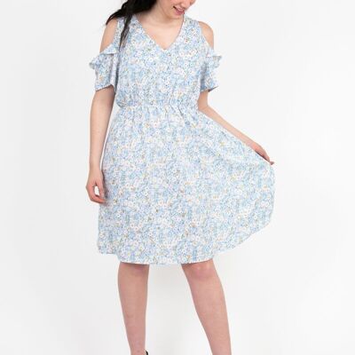 Robe grande taille imprimé bleu (C6575)