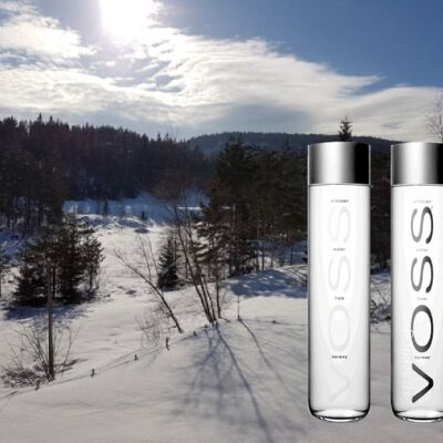 VOSS Agua de manantial con gas 80cl Vaso perdido (adición de dióxido de carbono)