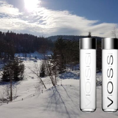 VOSS Sparkling spring water 80cl glass lost (addition of carbon dioxide)