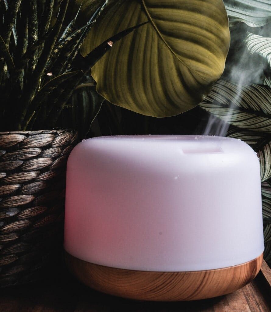 Kaufen Sie Aromadiffusor Home No1 zu Großhandelspreisen