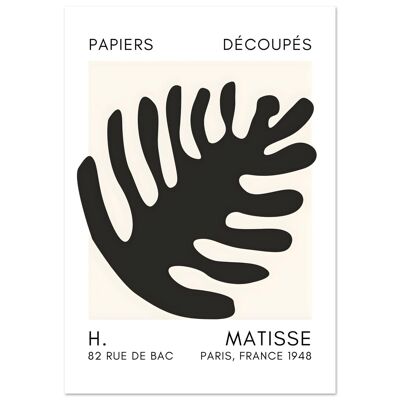 Matisse – Coral bloom black poster