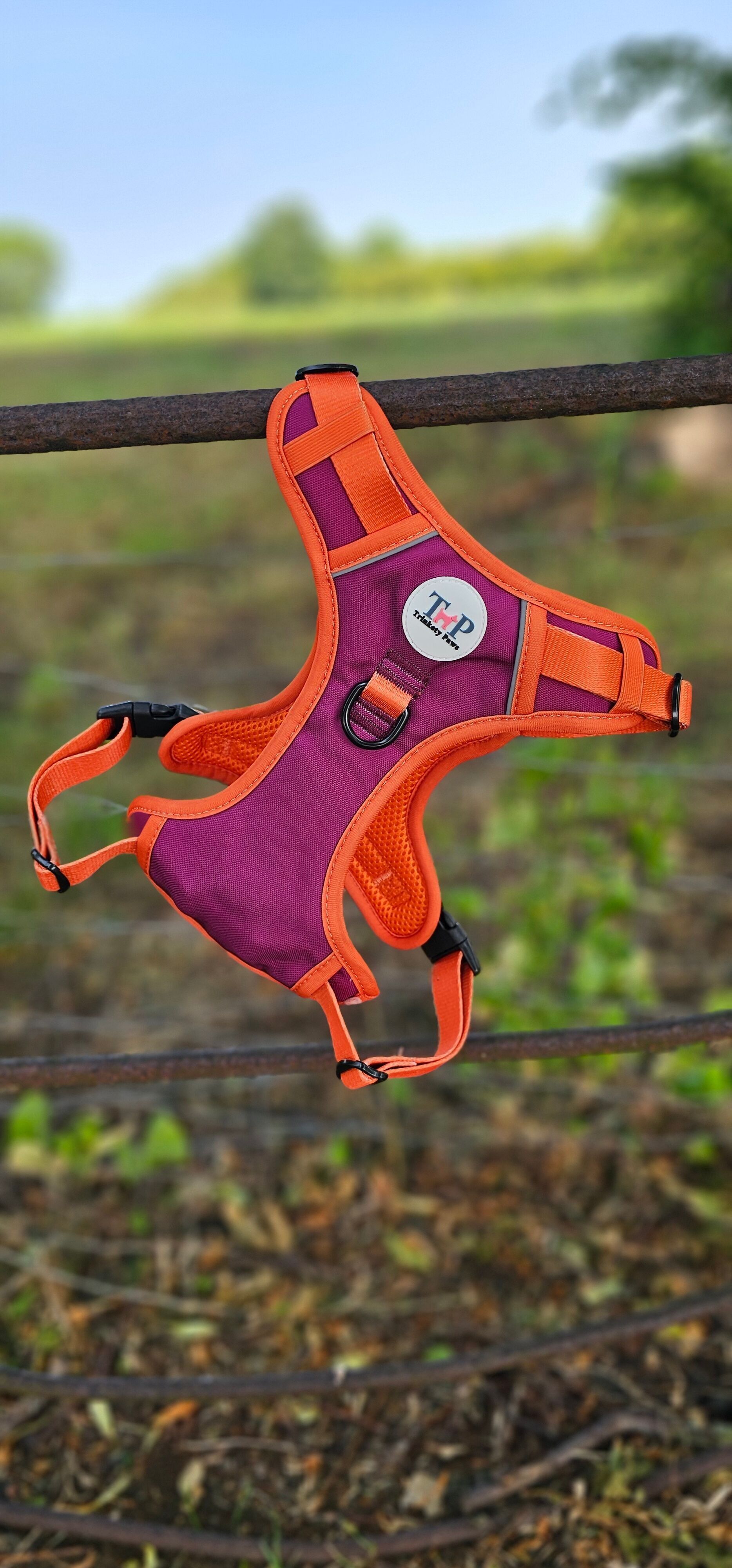 Conjunto de collar y correa para perro BioThane© de cuerda clásica - Marrón oscuro y oliva