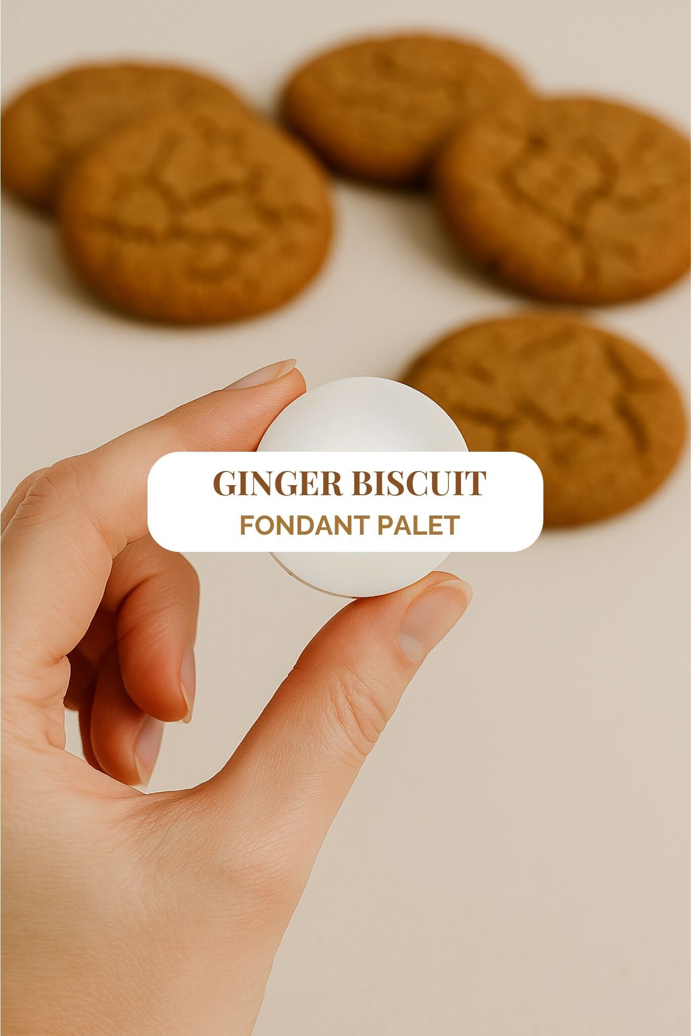 "Biscotti allo zenzero" - Fondente profumato 5h