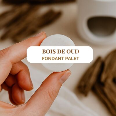 " Bois de Oud " - Fondant parfumé 5h