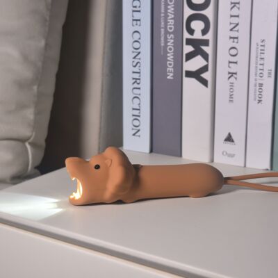 flashlight lion