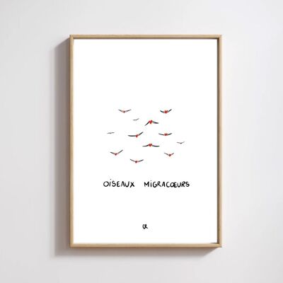 Illustrazione A5 Uccelli migratori