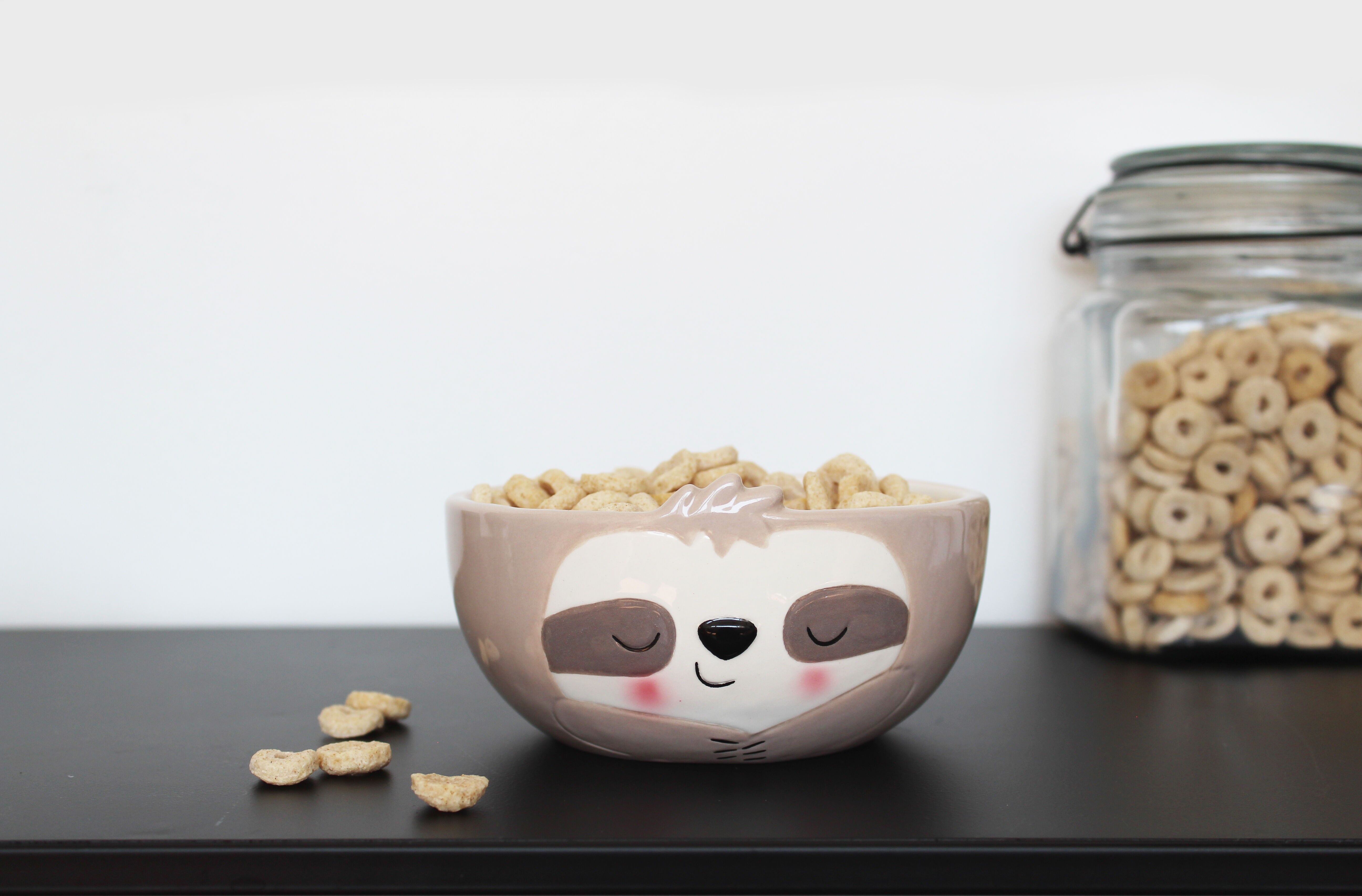 Sloth cereal bowl