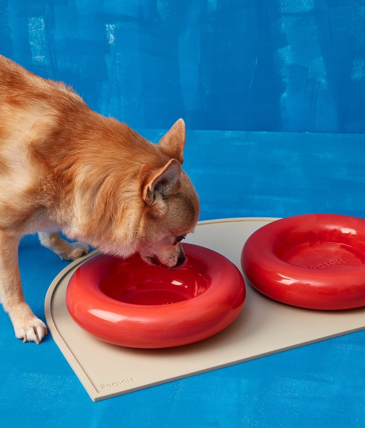Comedero cerámico rojo para perros