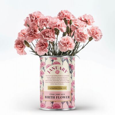 Fleur de naissance de janvier - Cadeau personnalisé à faire pousser soi-même
