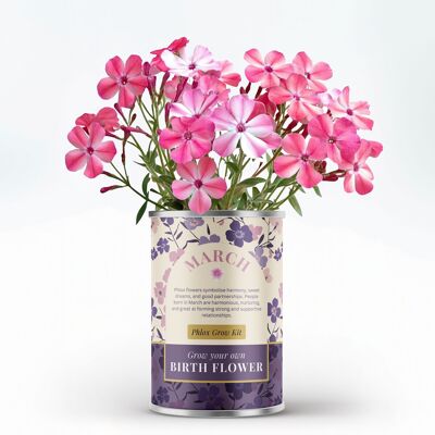Flor de nacimiento de marzo: regalo personalizado para cultivar tu propia flor