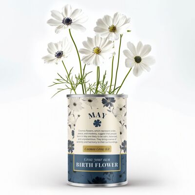 Flor de nacimiento de mayo: regalo personalizado para cultivar tus propias flores
