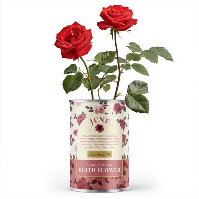 Fleur de naissance de juin - Cadeau personnalisé à faire pousser soi-même