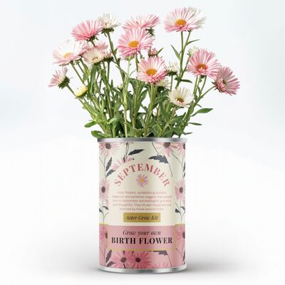 Fleur de naissance de septembre - Cadeau personnalisé à faire pousser soi-même