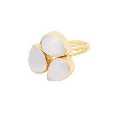 Commande de bague Plato personnalisée