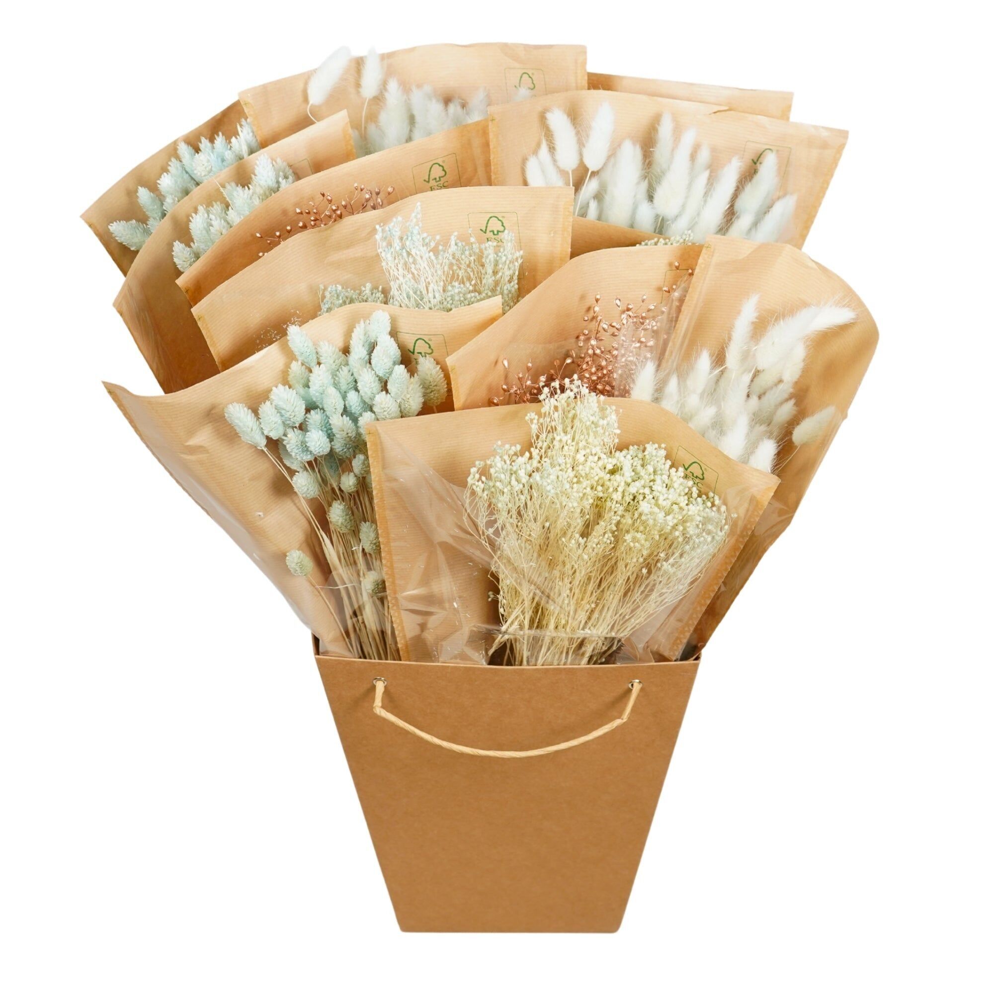 Dried Flowers Mono Bunches - Baby Blue