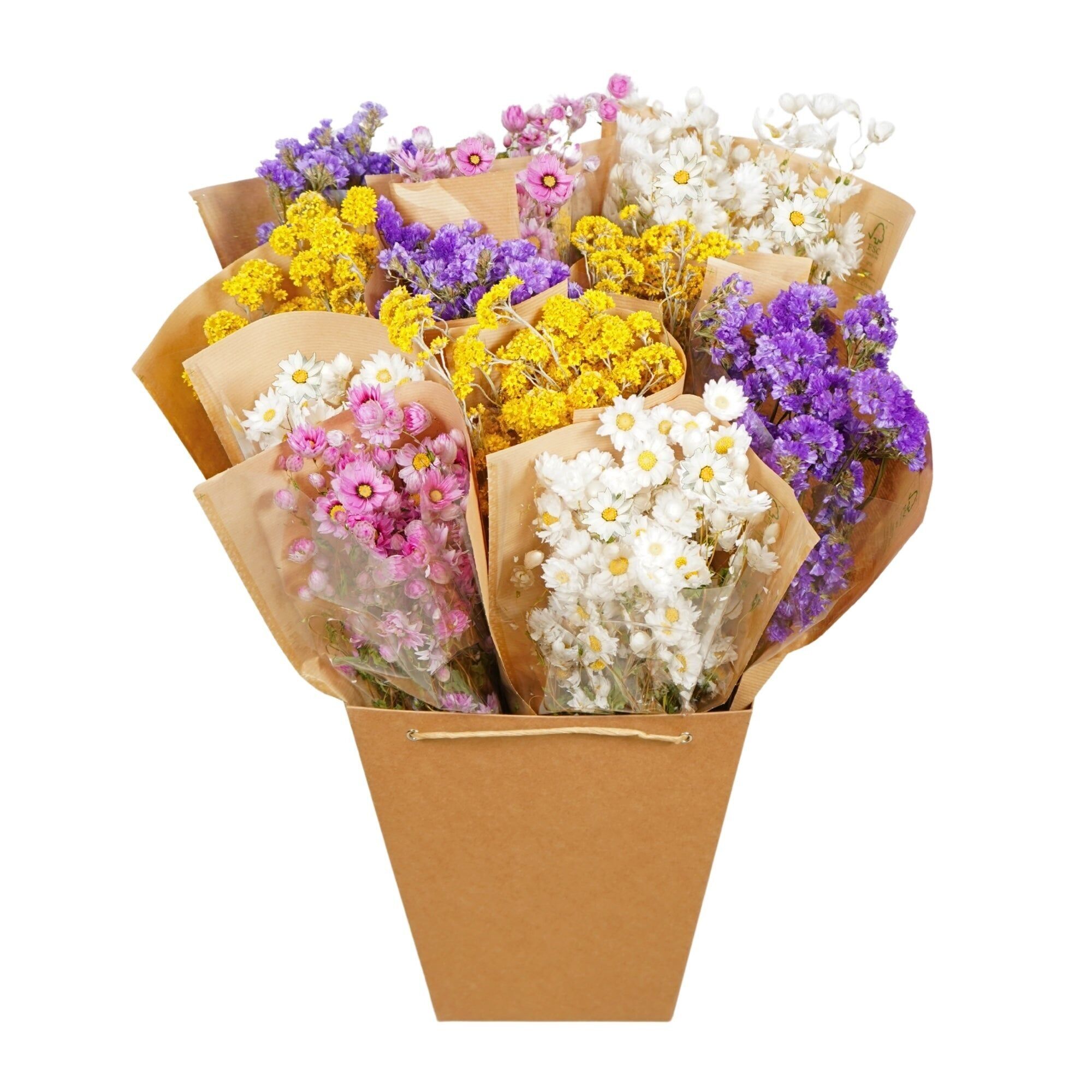 Dried Flowers Mono Bunches - Dutch