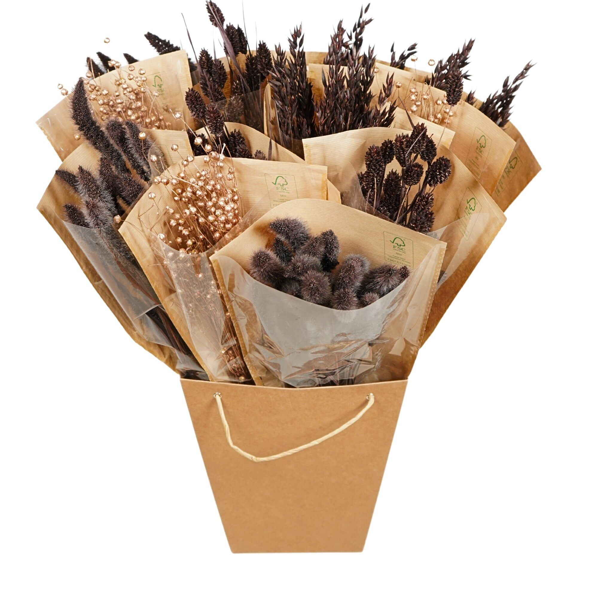 Dried Flowers Mono Bunches - Chocolate