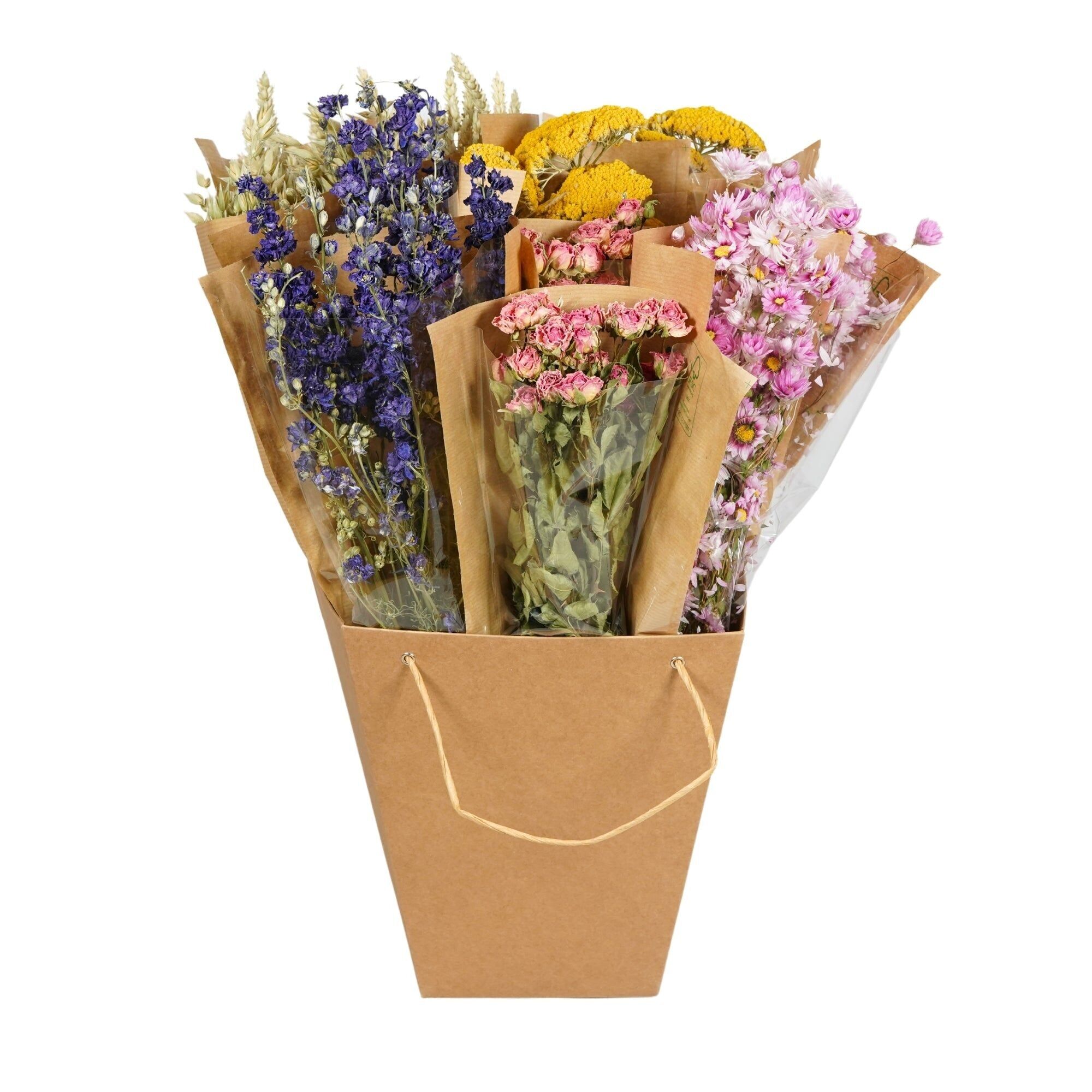 Dried Flowers Mono Bunches - Multi