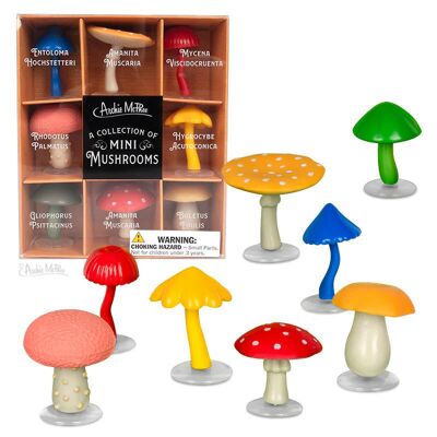 12996 Une collection de mini champignons